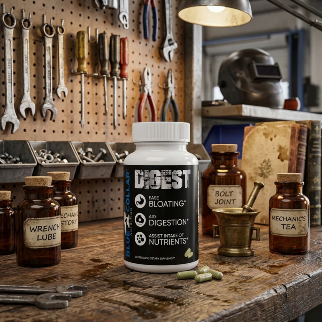 Comparison of digestive enzymes and probiotics showing how each supports different parts of digestion at different timescales