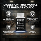 Digest benefits infographic showing Makzyme-Pro enzyme blend, Bromelain, Papain, and probiotic support for bloating, digestion, and nutrient absorption