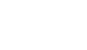 Blue Collar Nutrition 